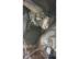 KIA RIO 1.5 CRDI - HYUNDAI ACCENT 1.5 CRDI D4FA, GETZ / kuplung munkahenger