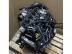 AUDI S3 / Audi S3 2.0 TFSI DJH motor