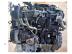 IVECO DAILY / F1AFL411B motor