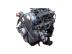 IVECO DAILY / F1AE0481B motor