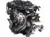 AUDI A5 / Audi A5 (F5) 40 TFSI MH Komplett motor DLVA