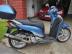 HONDA SH 300 / Honda SH300 sportdob