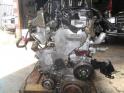 NISSAN NAVARA D40, PATHFINDER / motor egyben