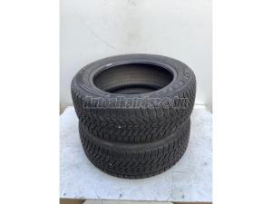 Debica Frigo téli 225/55 R17 101 V TL 2017