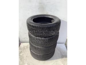 Debica Frigo téli 195/55 R15 85 H TL 2018