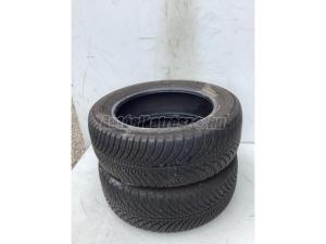 Yokohama Bluearth 4 évszakos 205/55 R16 91 V TL 2012