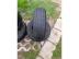Sumitomo BC100 nyári 185/60 R15 88 H TL 2022