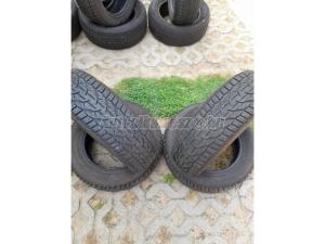 Riken Snow téli 185/65 R15 88 T TL 2023